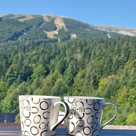 Family View Bjelašnica